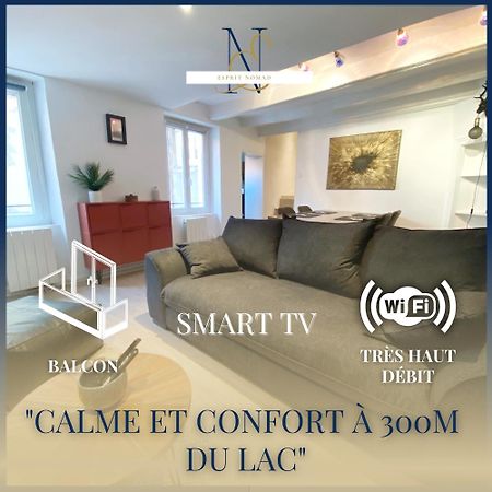 Esprit Nomad - Appartement Rue Pietonne Proche Lac Аннесі Екстер'єр фото