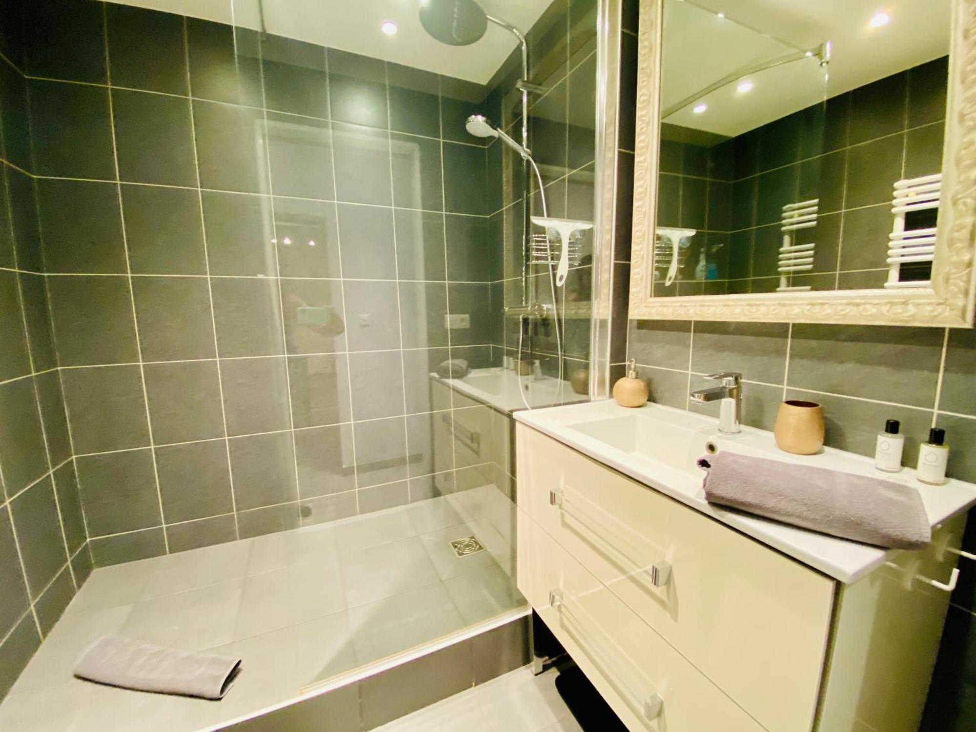 Esprit Nomad - Appartement Rue Pietonne Proche Lac Аннесі Екстер'єр фото
